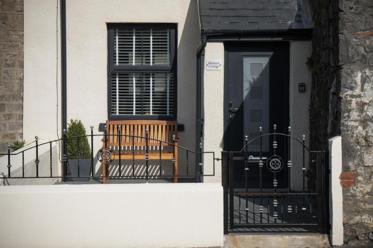Hawtree Cottage - 2 Bedroom Cottage - Tenby Eksteriør billede